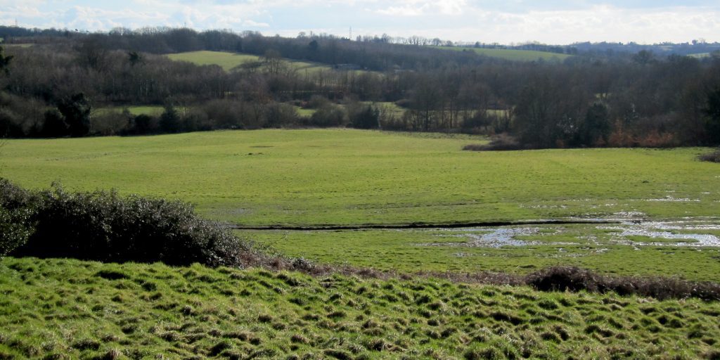 Hastings Battlefield